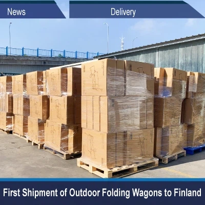 L-Ewwel Ġarr Ta' Vaguni Li jintwew ta' Barra Lejn il-Finlandja